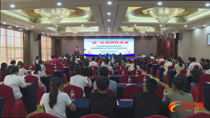 “职”点迷津！茶陵县举办高校毕业生就业创业服务大会暨大学生就业游活动