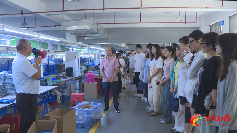 “职”点迷津！茶陵县举办高校毕业生就业创业服务大会暨大学生就业游活动
