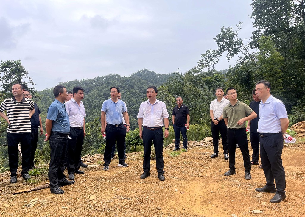 李鹏程督导占用林地修路情况整改工作
