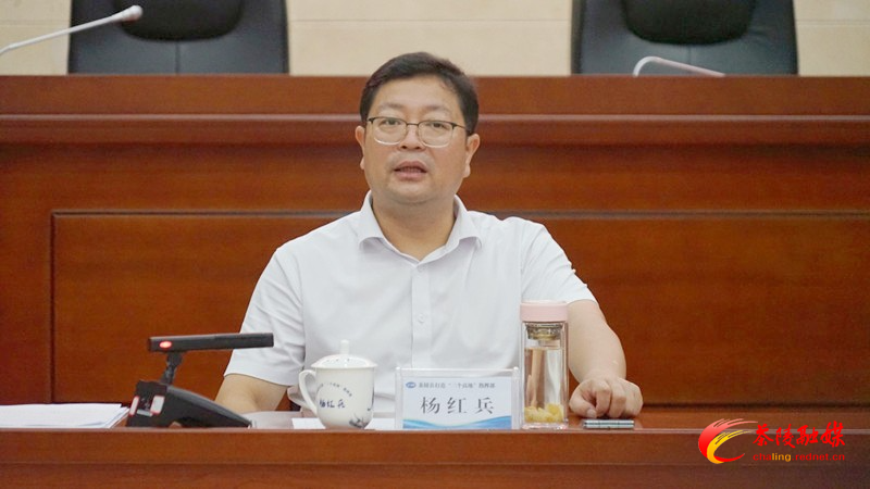 杨红兵调度茶陵县重点项目
