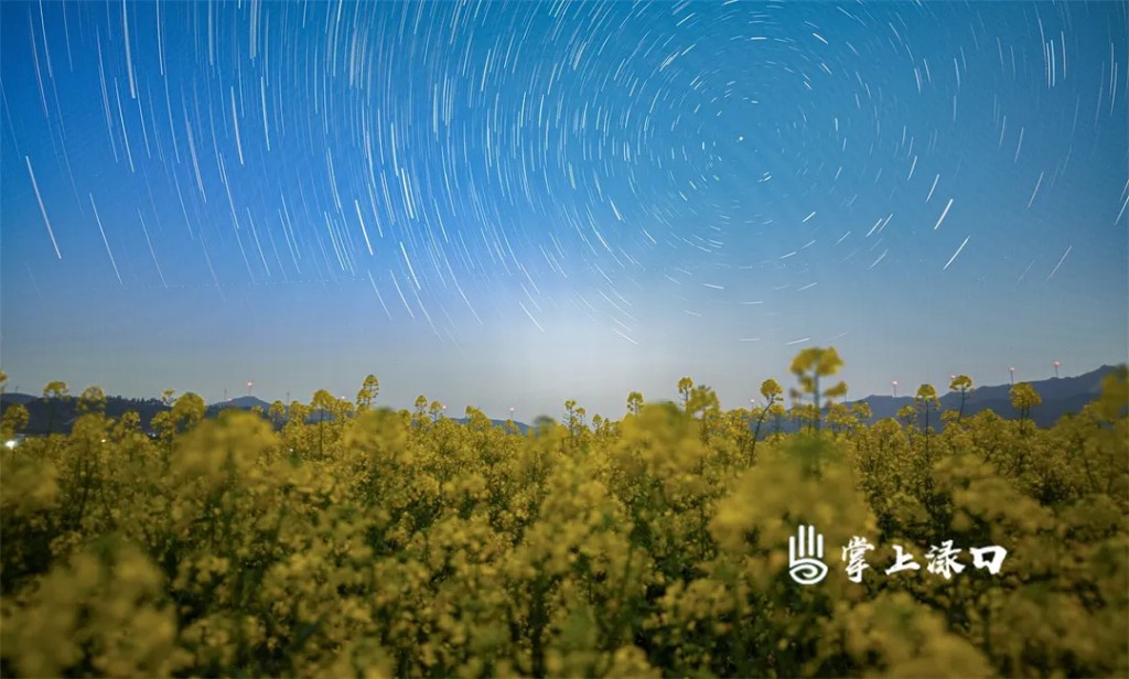 看美景 | 家门口追“星”，渌口人又浪漫了～
