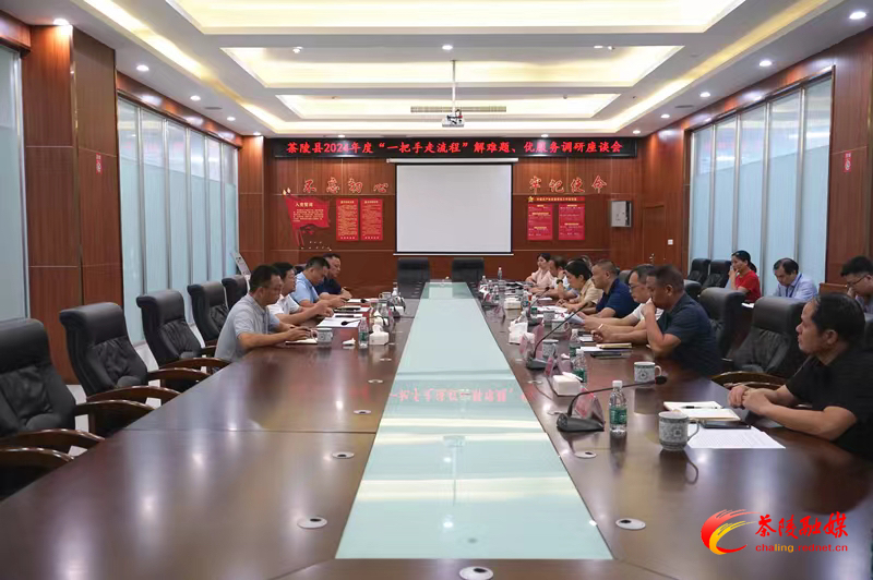 杨红兵开展2024年深化“一把手走流程”解难题、优服务活动