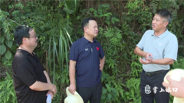 李晓彤赴各镇调研灾后重建工作