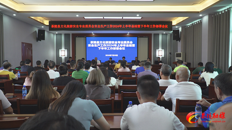 茶陵县总结部署2024年文化旅游安全专业委员会安全生产工作