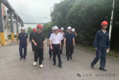 市委常委、常务副市长阳望平带队督导检查安全生产和森林防灭火等工作