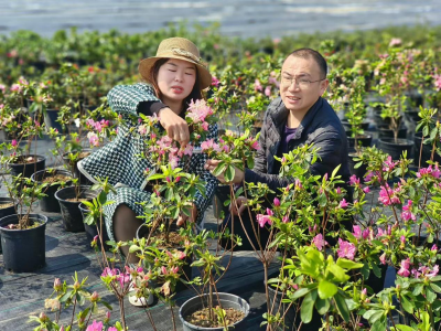 撂荒闲置地，蝶变展新颜
