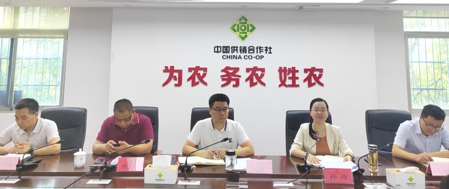 市供销社举行学习贯彻党的二十届三中全会精神宣讲报告会