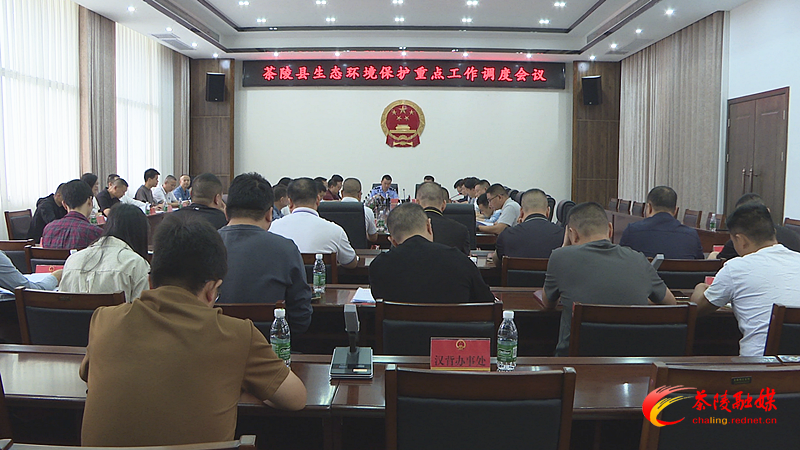 茶陵县调度生态环境保护重点工作