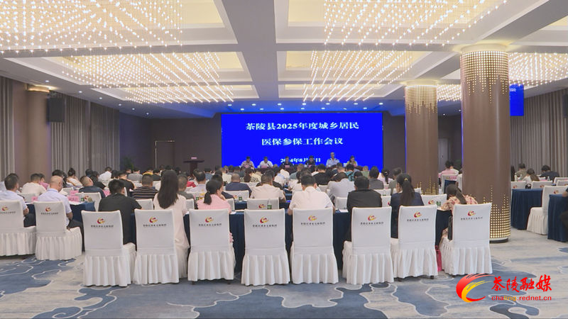 茶陵县动员部署2025年度城乡居民医保参保缴费工作