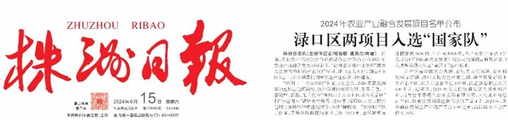 【渌口三农】科技赋能 振兴种业