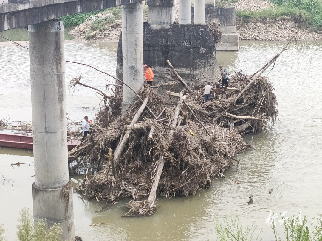霞阳镇：清理行洪障碍物 焕活河道新颜
