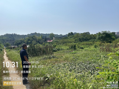 加强严格管控区巡查 筑牢粮食安全防线