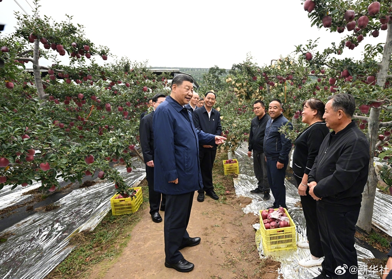 习近平在陕西宝鸡市和甘肃天水市考察调研