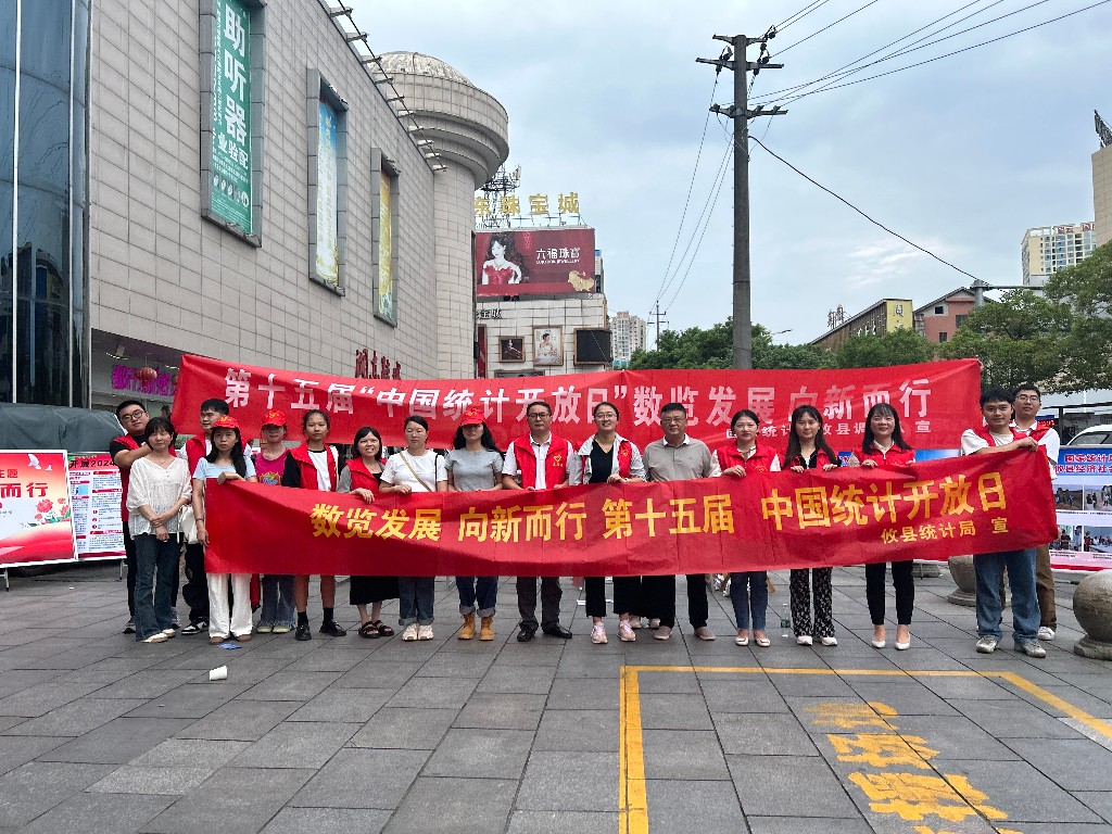 攸县统计局开展“数览发展 向新而行” 志愿者活动