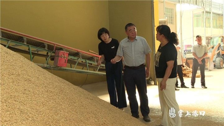 株洲市人大常委会一行来渌口区调研