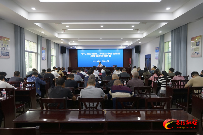 邓元连到严塘镇宣讲党的二十届三中全会精神