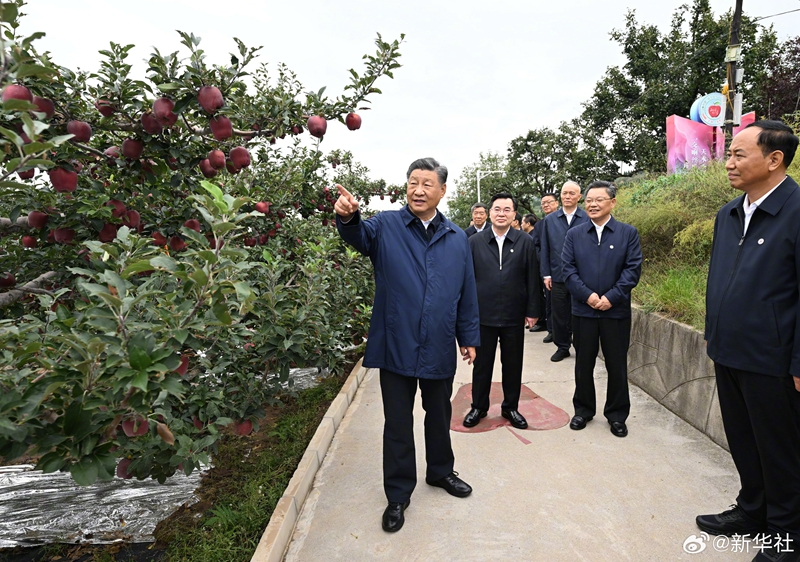 习近平在陕西宝鸡市和甘肃天水市考察调研