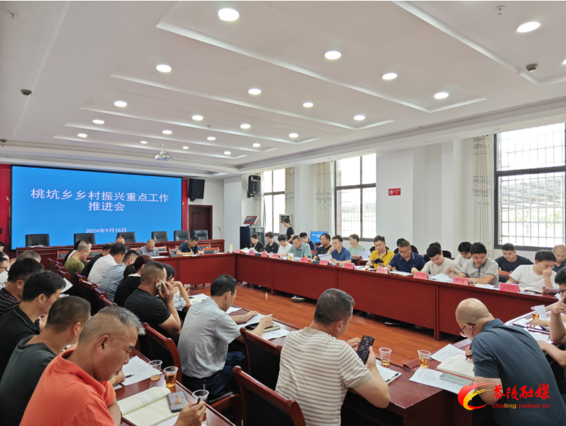 桃坑乡召开乡村振兴重点工作座谈会