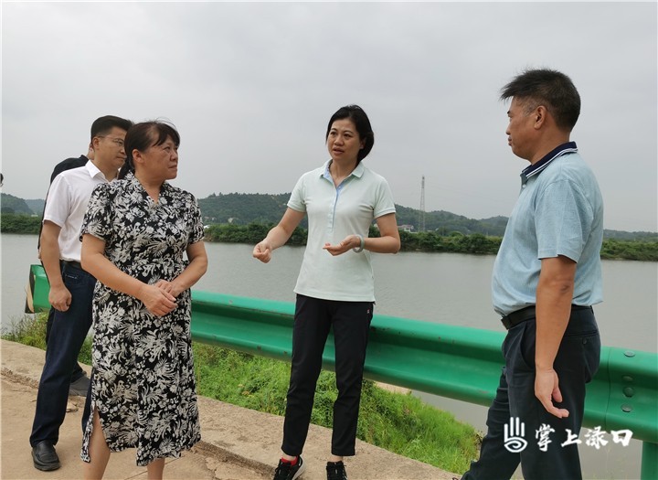 赖晓智到南洲镇调研灾后重建、设施农用地使用情况等工作