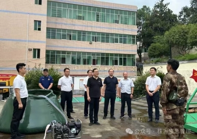 市委常委、常务副市长阳望平带队督导检查安全生产和森林防灭火等工作