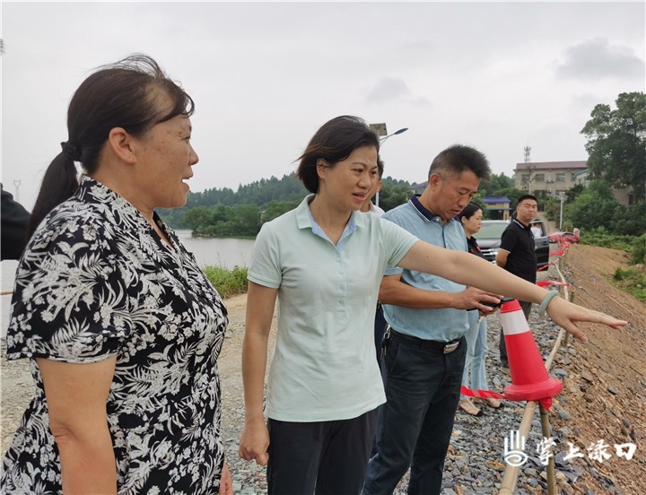 赖晓智到南洲镇调研灾后重建、设施农用地使用情况等工作