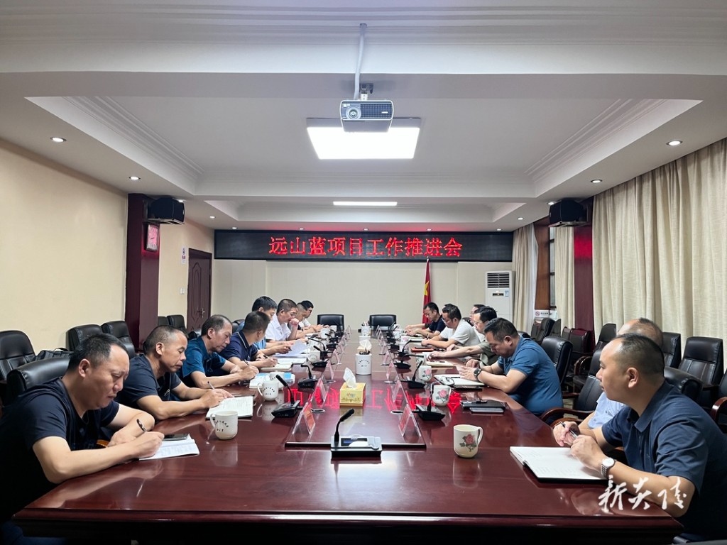 夏胜利主持召开远山蓝项目工作推进会