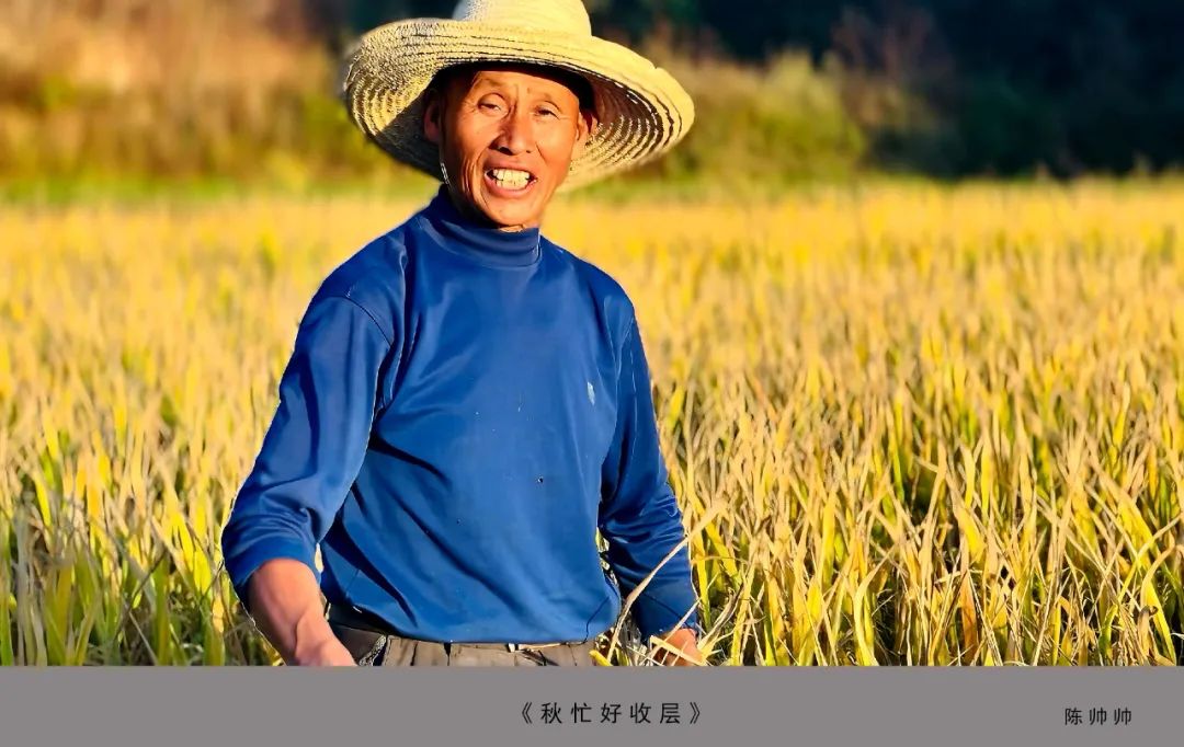 【人大70年】“丹青颂法治 笔墨谱华章”书法美术摄影作品展获奖名单公布啦！