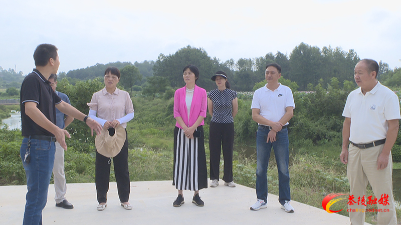 县人大开展民生可感行动项目专项督查
