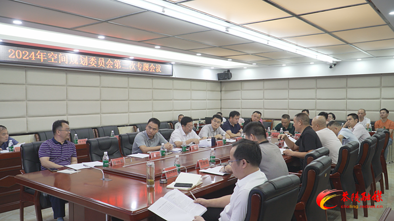 2024年县空间规划委员会第三次专题会召开