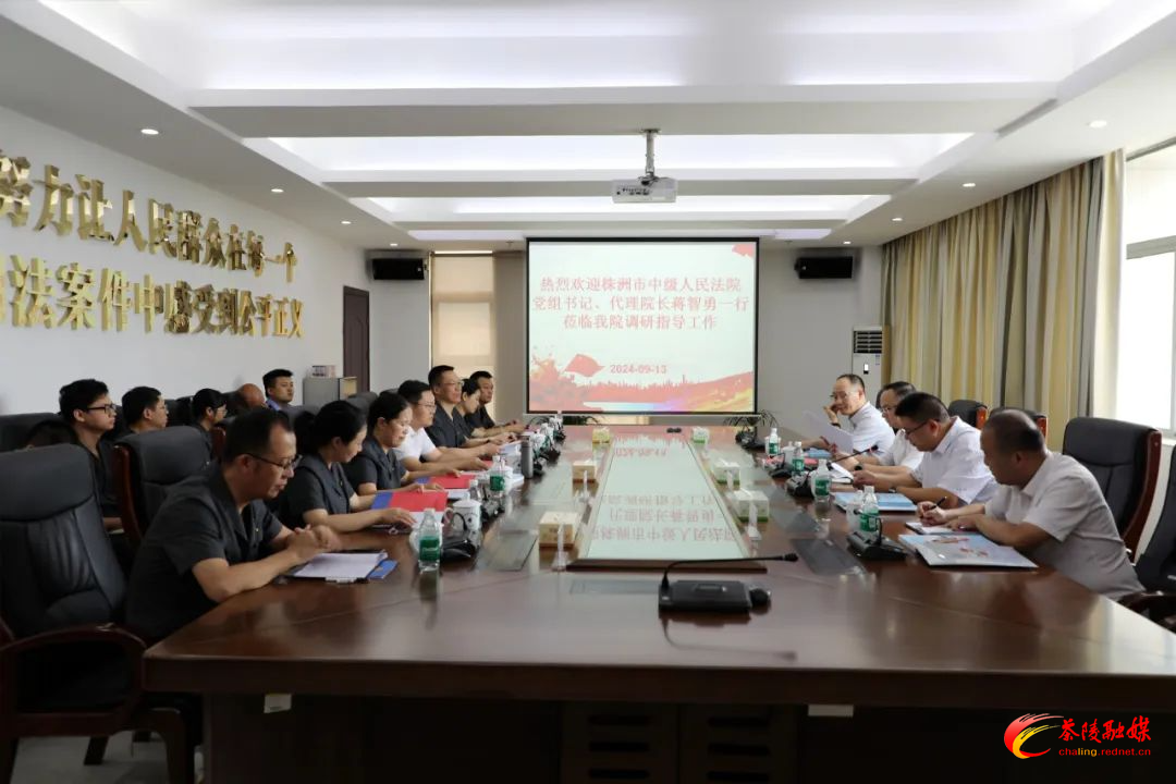 蒋智勇到茶陵县人民法院调研指导工作