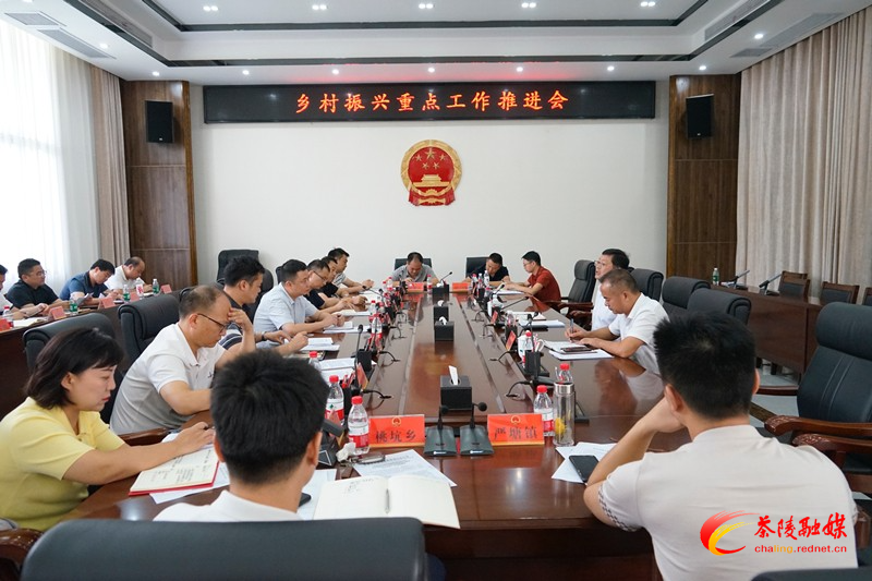 杨红兵主持召开乡村振兴重点工作推进会