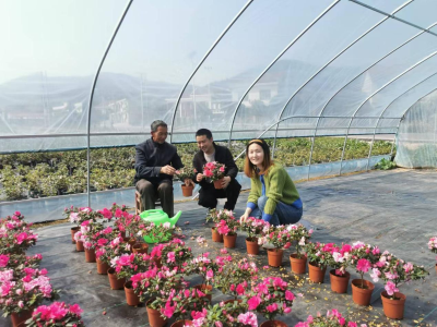 撂荒闲置地，蝶变展新颜