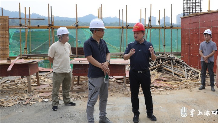 李晓彤到渌口镇调研王家洲乡村文化振兴示范区项目