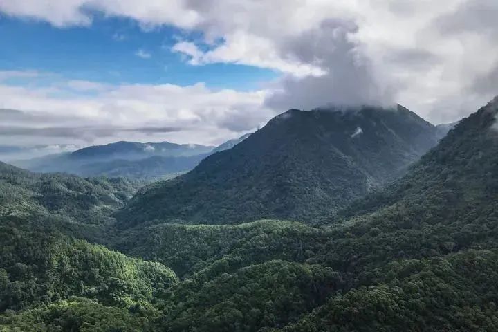 国家层面首次专门立法!实行最严格保护