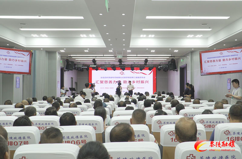 茶陵县举行透析患者专项捐赠仪式暨第三届肾友会活动