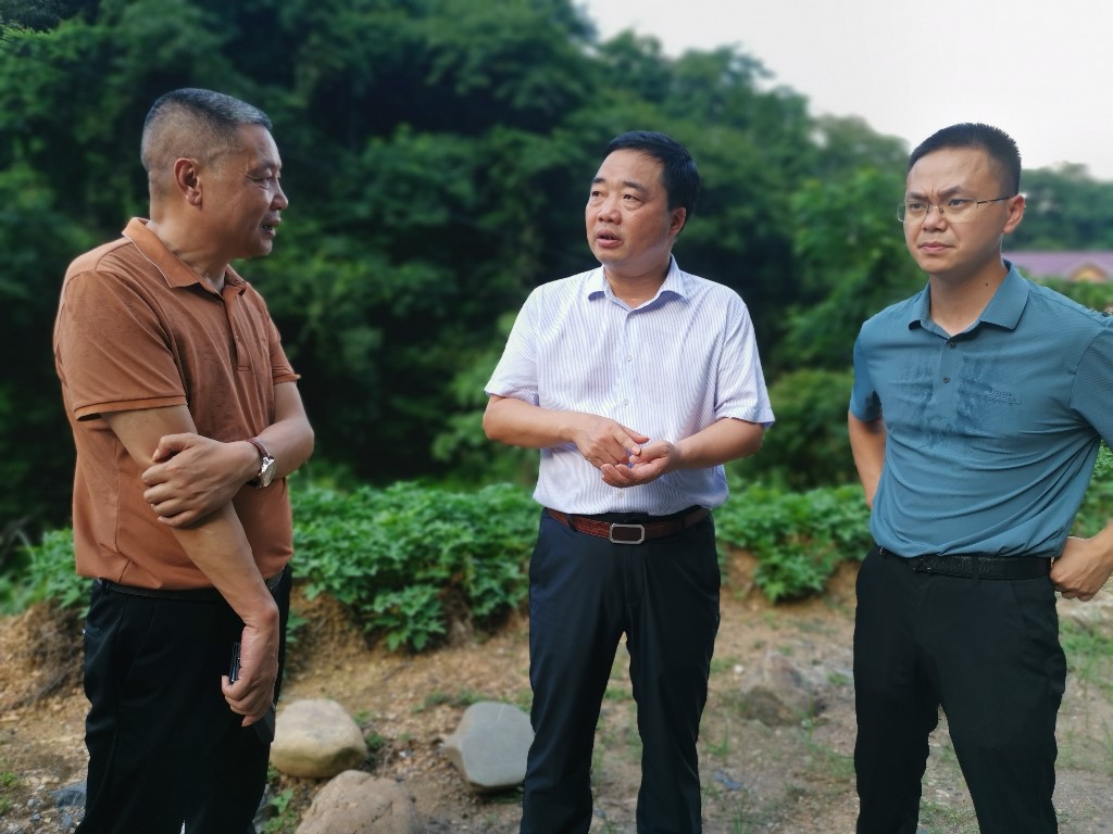 李鹏程督导环保问题整改工作 强调：扛牢政治责任 务求整改实效