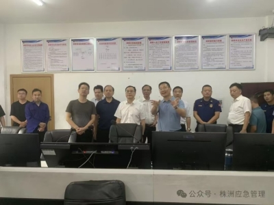 市委常委、常务副市长阳望平带队督导检查安全生产和森林防灭火等工作