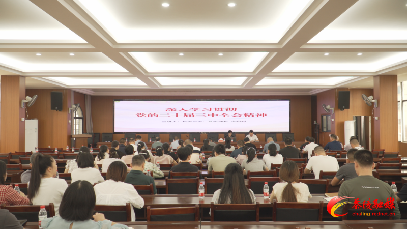 李甜甜到云阳街道宣讲党的二十届三中全会精神