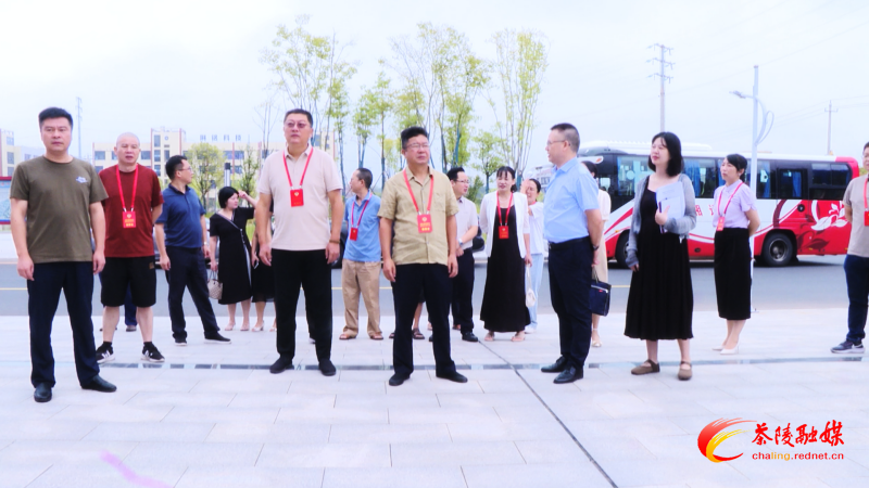 县政协开展发挥政府专项债对产业发展的活水作用协商活动