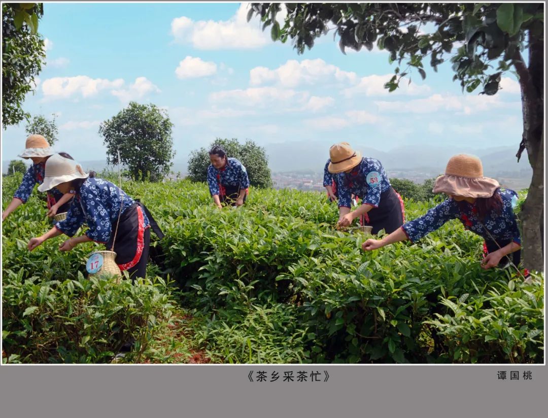 【人大70年】“丹青颂法治 笔墨谱华章”书法美术摄影作品展获奖名单公布啦！