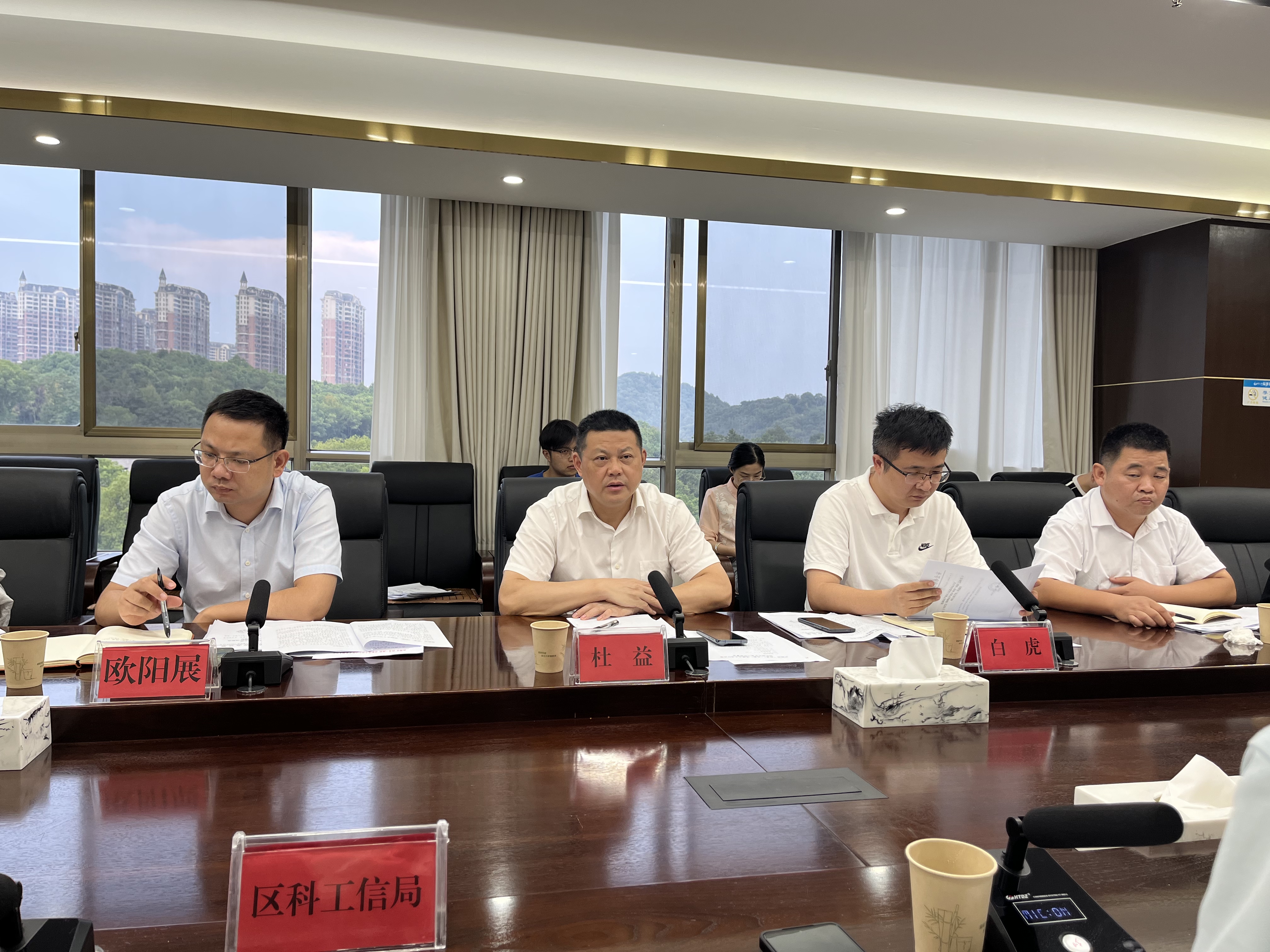 芦淞区召开“两重”“两新”送解优专项行动动员部署会