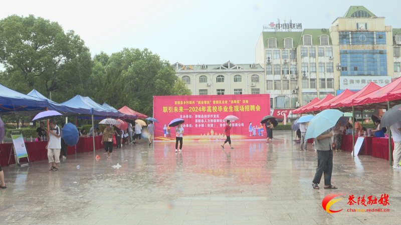 “职”引未来!茶陵县举办乡村振兴“就业帮扶”暨园区企业“送解优”现场招聘会