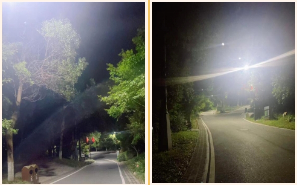 路灯亮了，夜色更靓了！