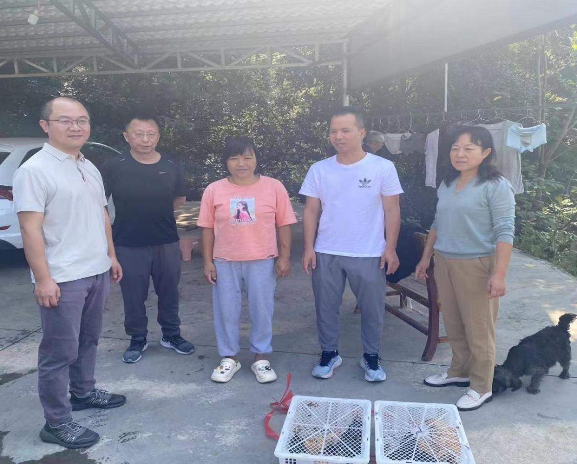 爱心帮扶赠鸡苗  乡村振兴共致富