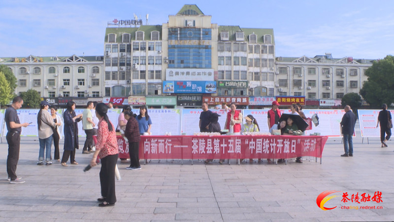 茶陵县开展2024年“中国统计开放日”活动