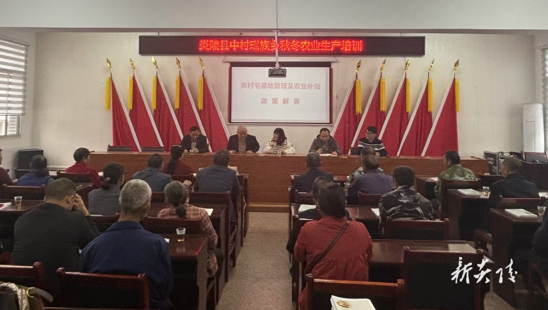 中村瑶族乡：专家送技下乡 农户喜获丰收新动力