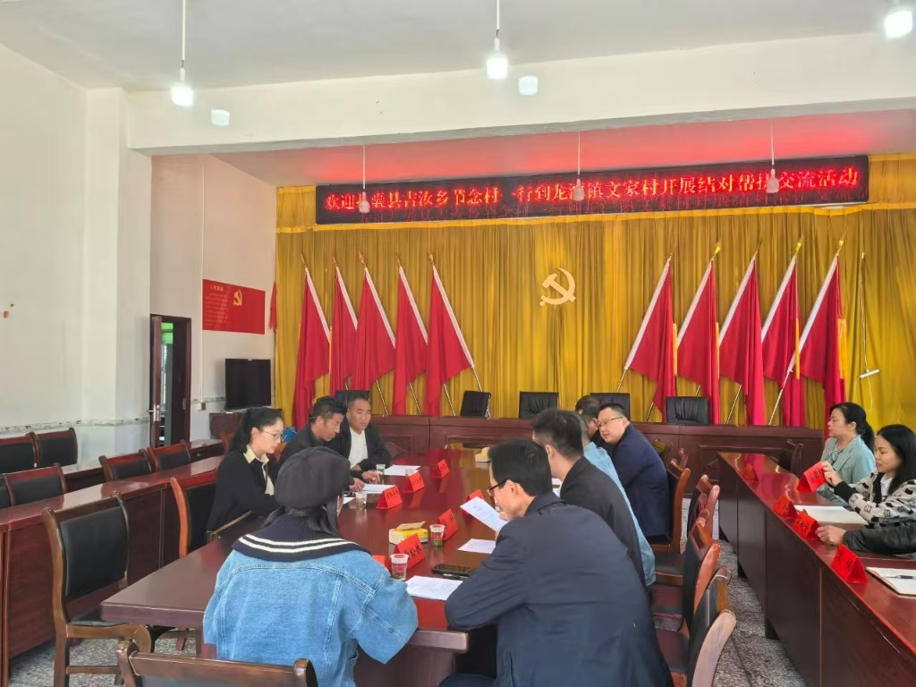 西藏山南市扎囊县吉汝乡节念村代表团赴龙潭镇文家村开展结对帮扶交流