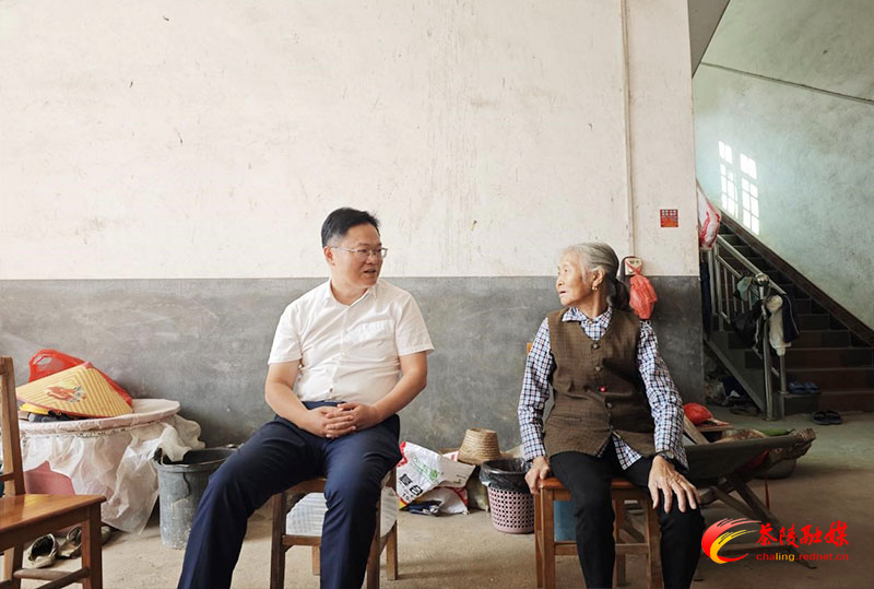 唐杰带队调研督导乡村振兴工作