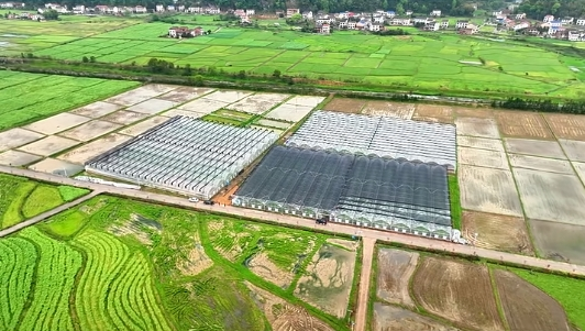全省十佳!醴陵1人2024年度“湖南省十佳农民”