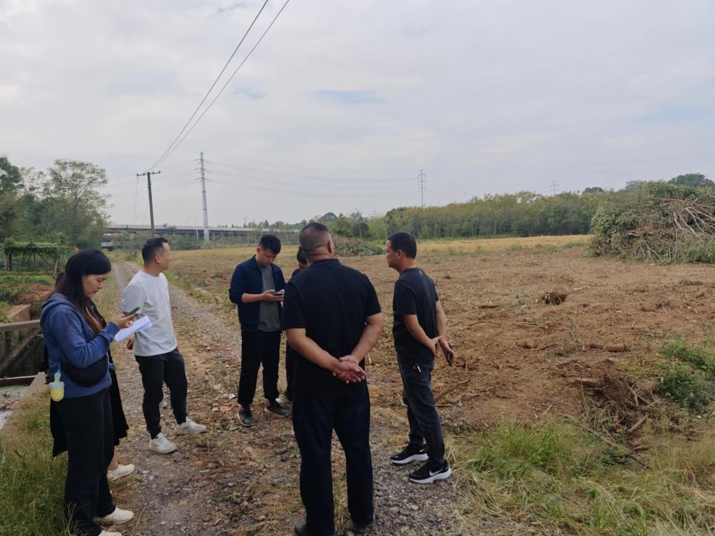石峰区攻坚耕地恢复工作